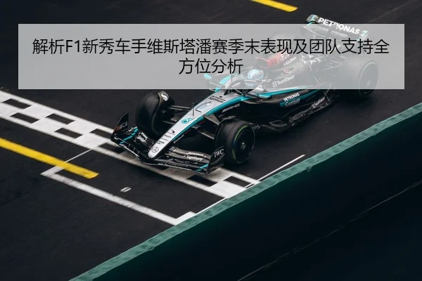 解析F1新秀车手维斯塔潘赛季末表现及团队支持全方位分析 - ZOTY SPORTS